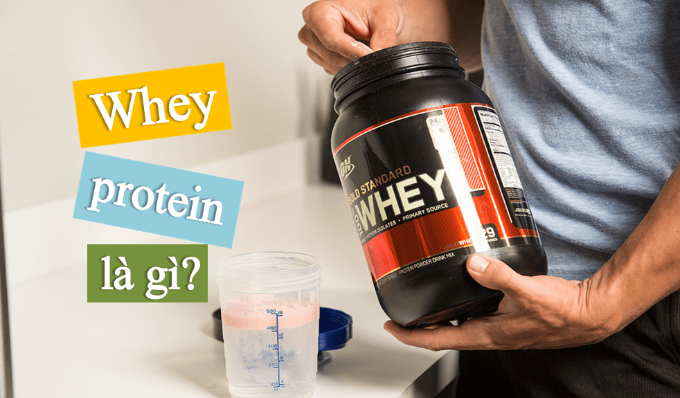 Giới thiệu về whey protein