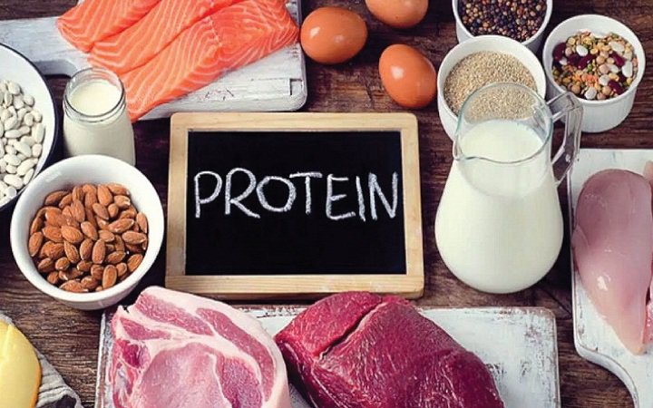 Vai trò của protein với vận động viên bóng rổ